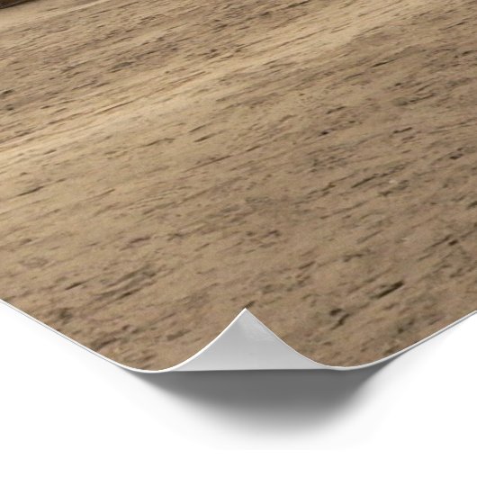 Woestijnland 1 poster (Hoek)