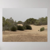 Woestijnland 1 poster (Voorkant)