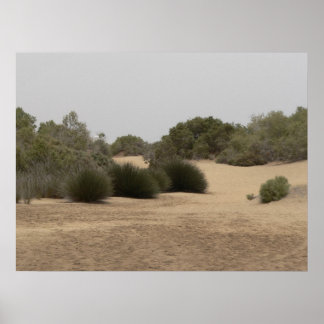 Woestijnland 1 poster