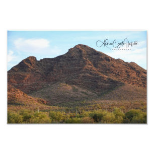 Woestijnlandschap Arizona Foto Afdruk