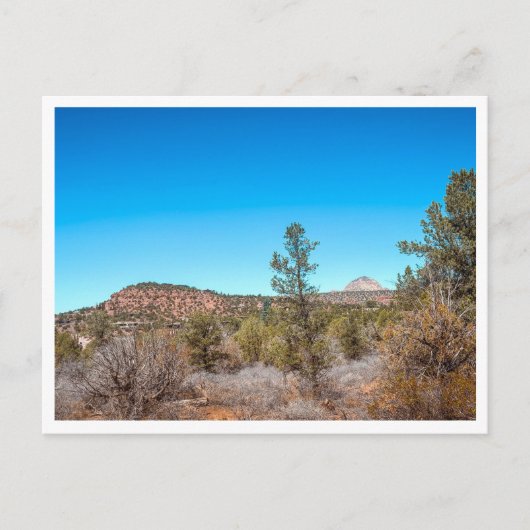 woestijnlandschap briefkaart