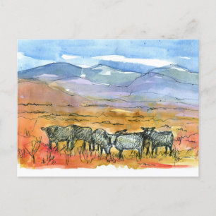 Woestijnlandschap Koeien Black Angus Mountains Briefkaart