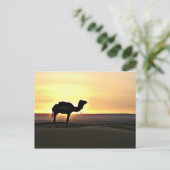 Woestijnlandschap met kameel briefkaart (Staand voorkant)