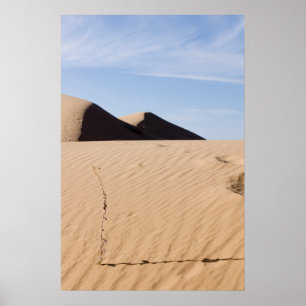 woestijnlandschap poster