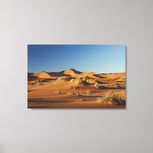 woestijnlandschap van Namib in Sossusvlei; Canvas Afdruk