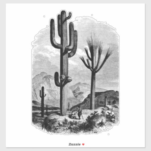 Woestijnlandschapscactus  inkttekening sticker (Vel)