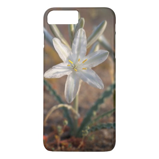 Woestijnlelie-wildbloemen Case-Mate iPhone Case (Achterkant)
