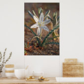 Woestijnlelie-wildbloemen Poster (Keuken)