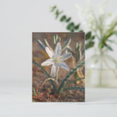 Woestijnlelie-wildflowers Briefkaart (Staand voorkant)