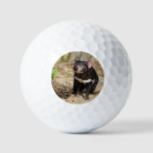Woestijnlicht – Tasmaanse Duivel Golfballen (Voorkant)