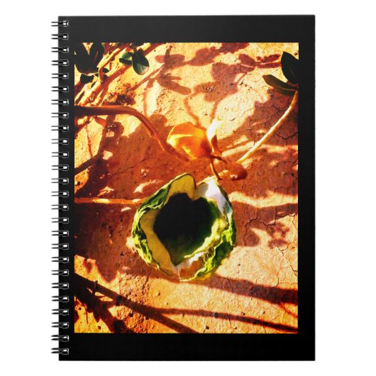 Woestijnliefde Notitieboek (Voorkant)