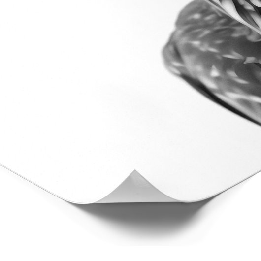 Woestijnloopvogel Vogel Portret Poster (Hoek)