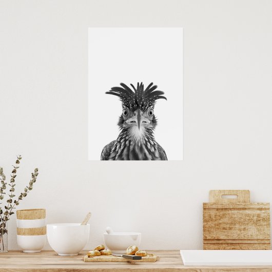 Woestijnloopvogel Vogel Portret Poster (Keuken)