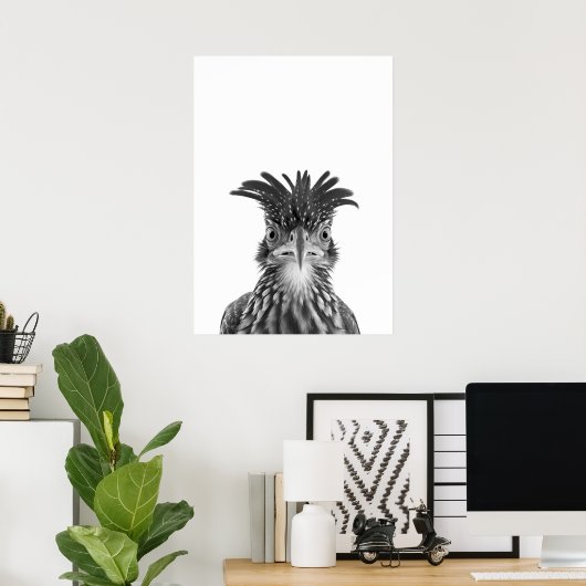 Woestijnloopvogel Vogel Portret Poster (Thuiskantoor)