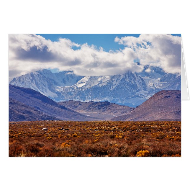 Woestijnmiddag (Voorkant Horizontaal)