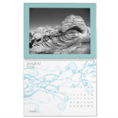 woestijnmonochromen (kalender) kalender (Jan 2026)