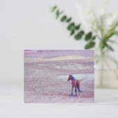 Woestijnpaarden P8640 Briefkaart (Staand voorkant)