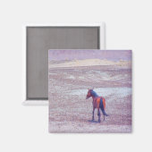 Woestijnpaarden P8640 Magneet (Voorkant / Achterkant)