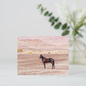 Woestijnpaarden P8664 Briefkaart (Staand voorkant)