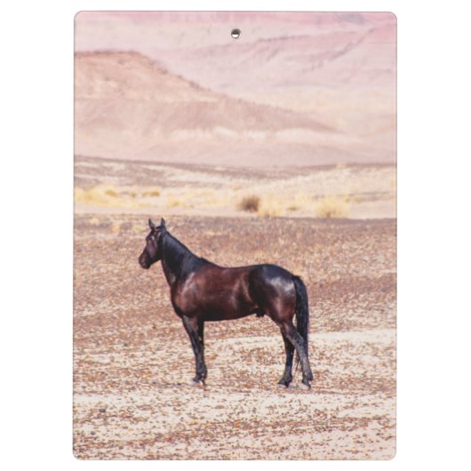 Woestijnpaarden P8664 Klembord (Achterkant)