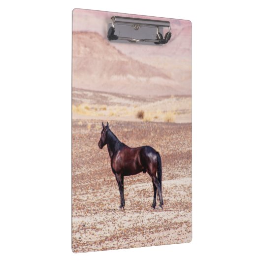 Woestijnpaarden P8664 Klembord (Rechts)