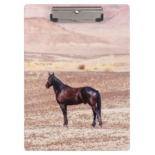 Woestijnpaarden P8664 Klembord (Voorkant)