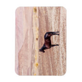 Woestijnpaarden P8664 Magneet (Verticaal)