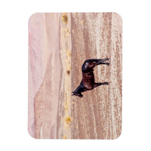 Woestijnpaarden P8664 Magneet (Verticaal)