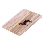 Woestijnpaarden P8664 Magneet (Linkerzijde)