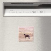 Woestijnpaarden P8664 Magneet (Insitu (Vaatwasser))