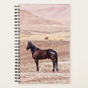 Woestijnpaarden P8664 Planner