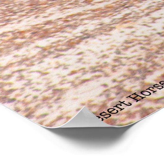 Woestijnpaarden P8664 Poster (Hoek)