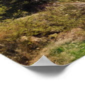 woestijnpad met yucca en bergen poster (Hoek)