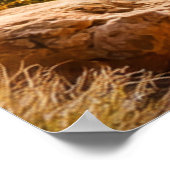 Woestijnpad tussen rotsachtige canyons poster (Hoek)