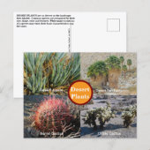 Woestijnplanten Ansichtkaart Briefkaart (Voorkant / Achterkant)