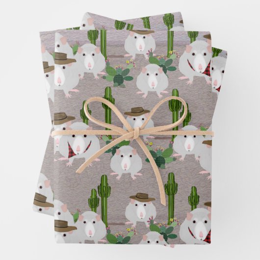 Woestijnratten verpakken papieren vellen (In situ)