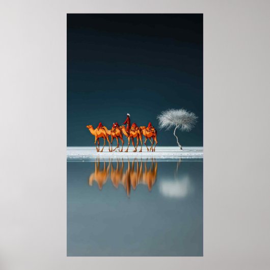 Woestijnreflecties Poster (Voorkant)