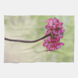 Woestijnroos in roze theedoek