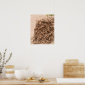 Woestijnroos. Tunesië. Poster (Keuken)