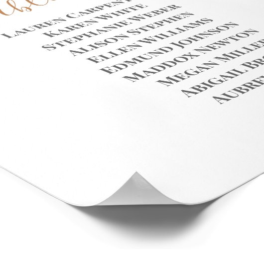 Woestijnroze boho chic Wedding Seding Chart Poster (Hoek)