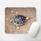 woestijnschildpad muismat (Met muis)