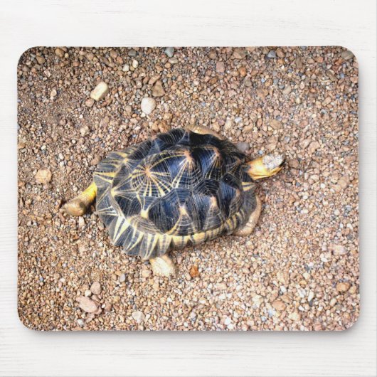 woestijnschildpad muismat (Voorkant)