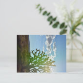 Woestijnschoonheid Briefkaart (Staand voorkant)