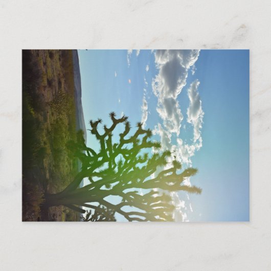 Woestijnschoonheid Briefkaart (Voorkant)