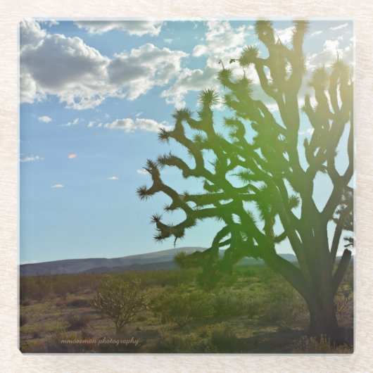 Woestijnschoonheid Glazen Onderzetter (Voorkant)