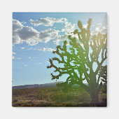 Woestijnschoonheid Magneet (Voorkant)