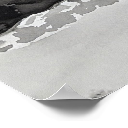 Woestijnschoonheid Poster (Hoek)