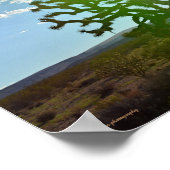 Woestijnschoonheid Poster (Hoek)