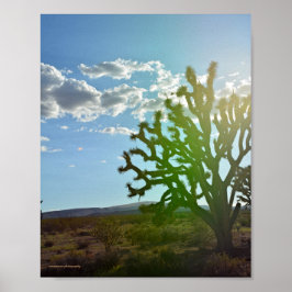 Woestijnschoonheid Poster