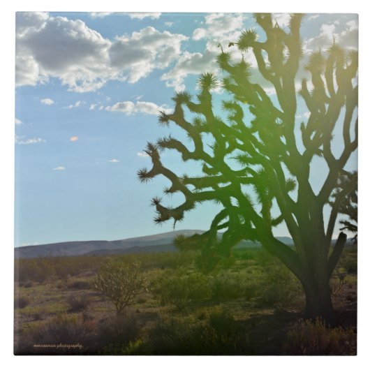 Woestijnschoonheid Tegeltje (Voorkant)